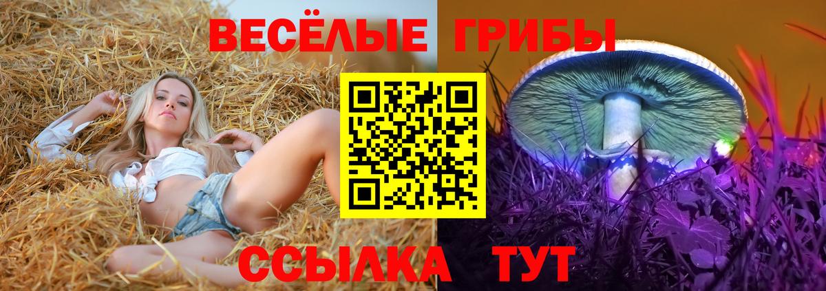 Псилоцибиновые грибы Magic Shrooms Нефтекумск
