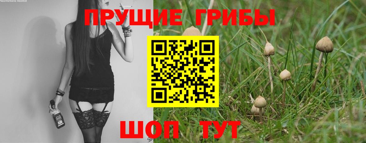 Галлюциногенные грибы мицелий  Вход с VPN  Нефтекумск 